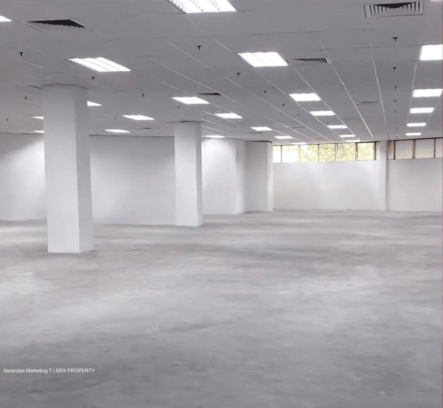 Imm Building (D22), Warehouse #500412691